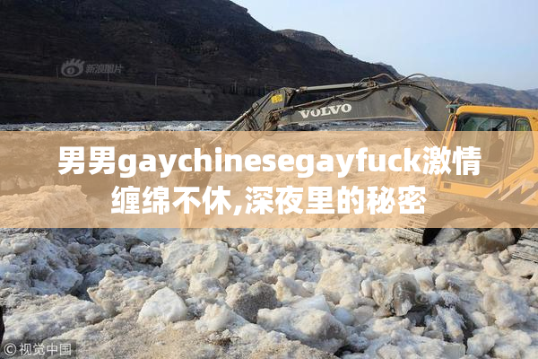 男男gaychinesegayfuck激情缠绵不休,深夜里的秘密