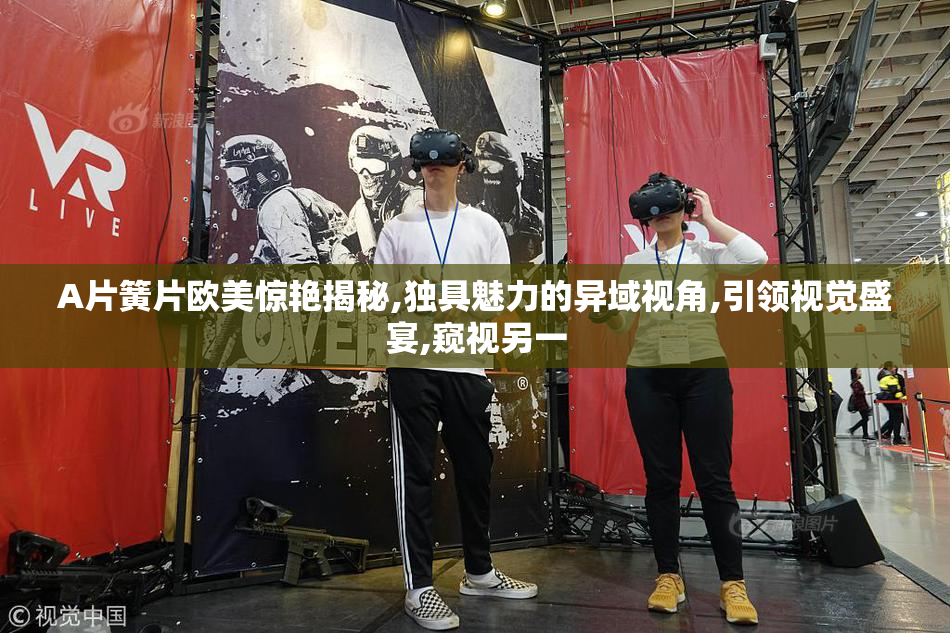 A片簧片欧美惊艳揭秘,独具魅力的异域视角,引领视觉盛宴,窥视另一