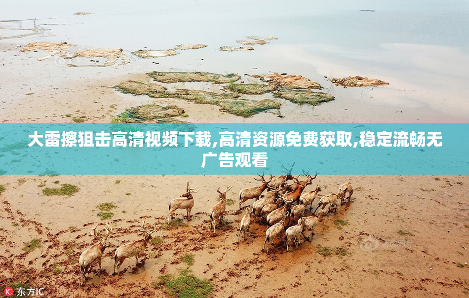 大雷擦狙击高清视频下载,高清资源免费获取,稳定流畅无广告观看