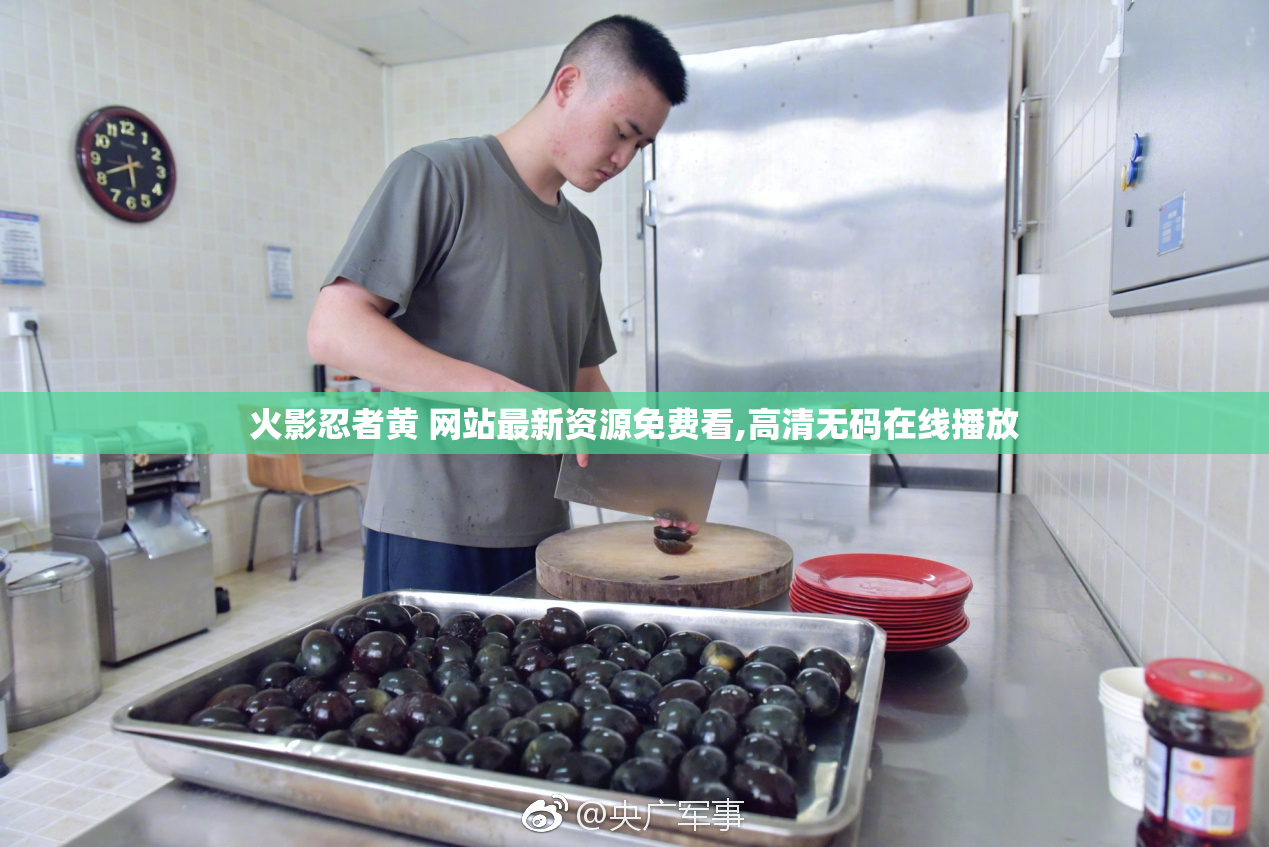 火影忍者黄 网站最新资源免费看,高清无码在线播放