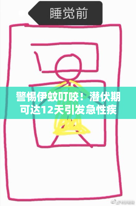 警惕伊蚊叮咬！潜伏期可达12天引发急性疾病