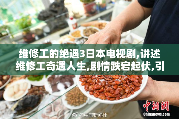 维修工的绝遇3日本电视剧,讲述维修工奇遇人生,剧情跌宕起伏,引人
