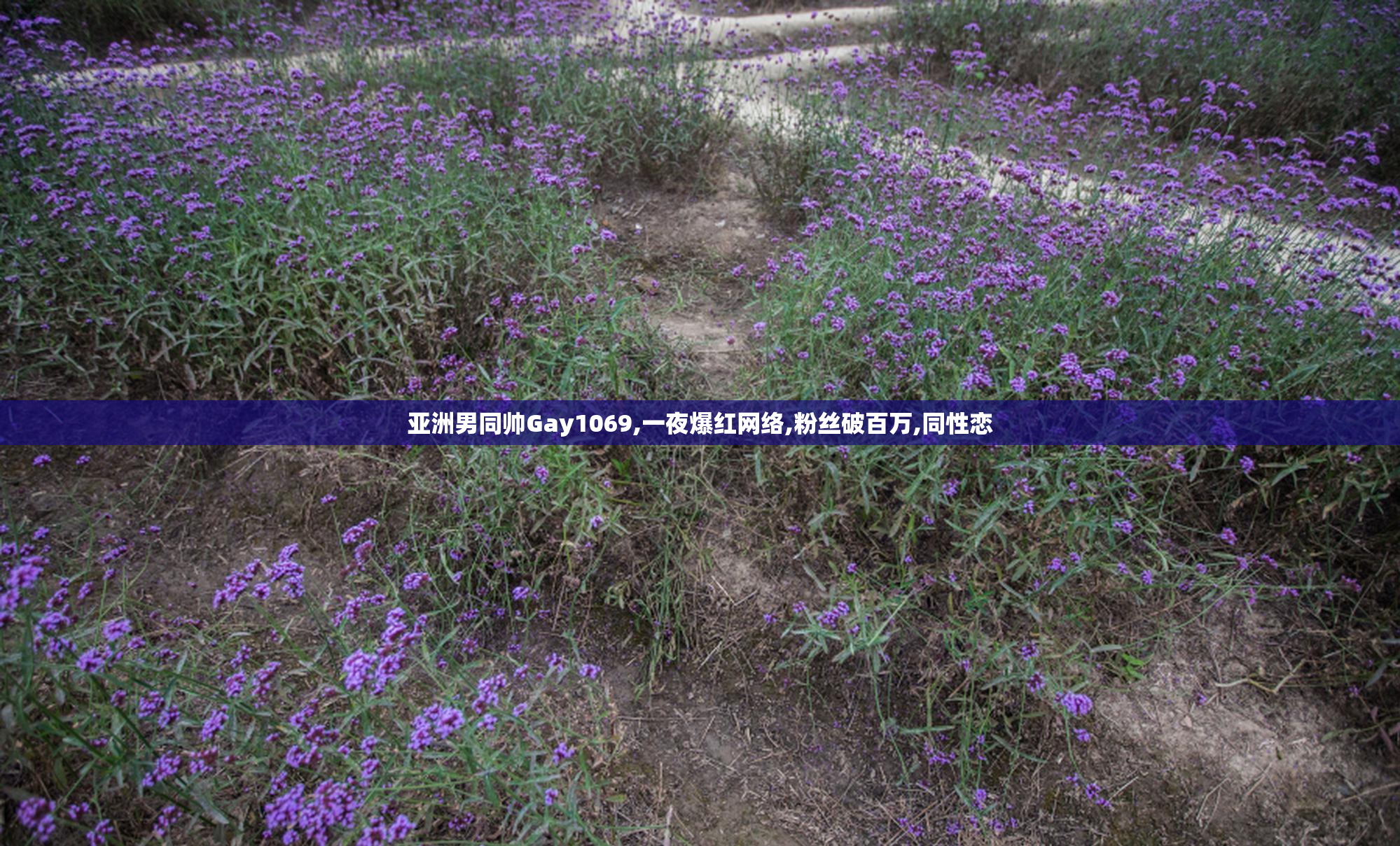亚洲男同帅Gay1069,一夜爆红网络,粉丝破百万,同性恋