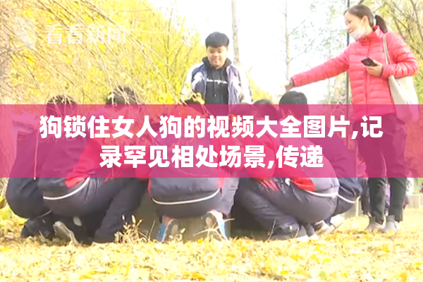 狗锁住女人狗的视频大全图片,记录罕见相处场景,传递