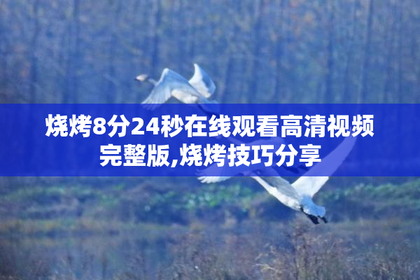 烧烤8分24秒在线观看高清视频完整版,烧烤技巧分享
