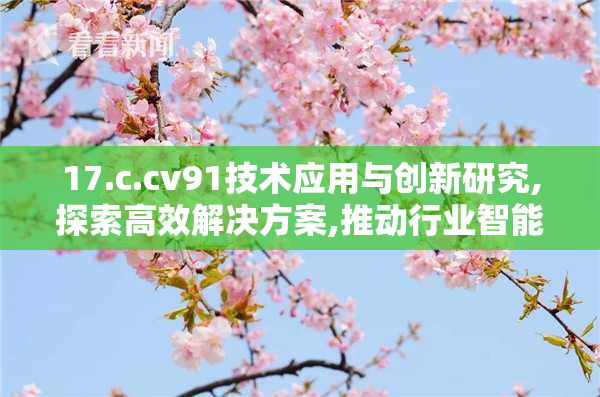 17.c.cv91技术应用与创新研究,探索高效解决方案,推动行业智能化发展