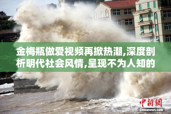 金梅瓶做爱视频再掀热潮,深度剖析明代社会风情,呈现不为人知的
