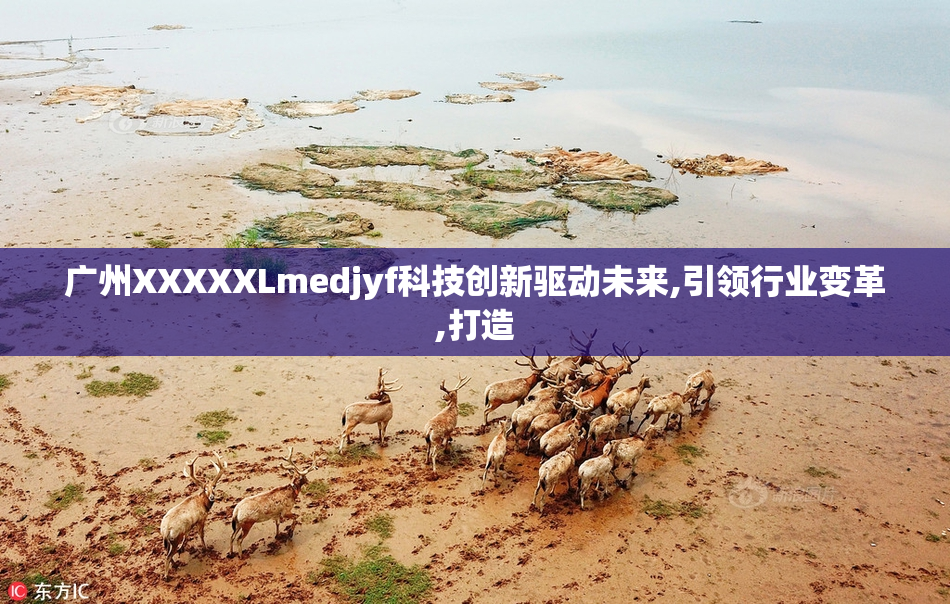 广州XXXXXLmedjyf科技创新驱动未来,引领行业变革,打造