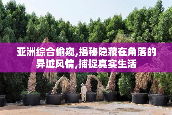 亚洲综合偷窥,揭秘隐藏在角落的异域风情,捕捉真实生活