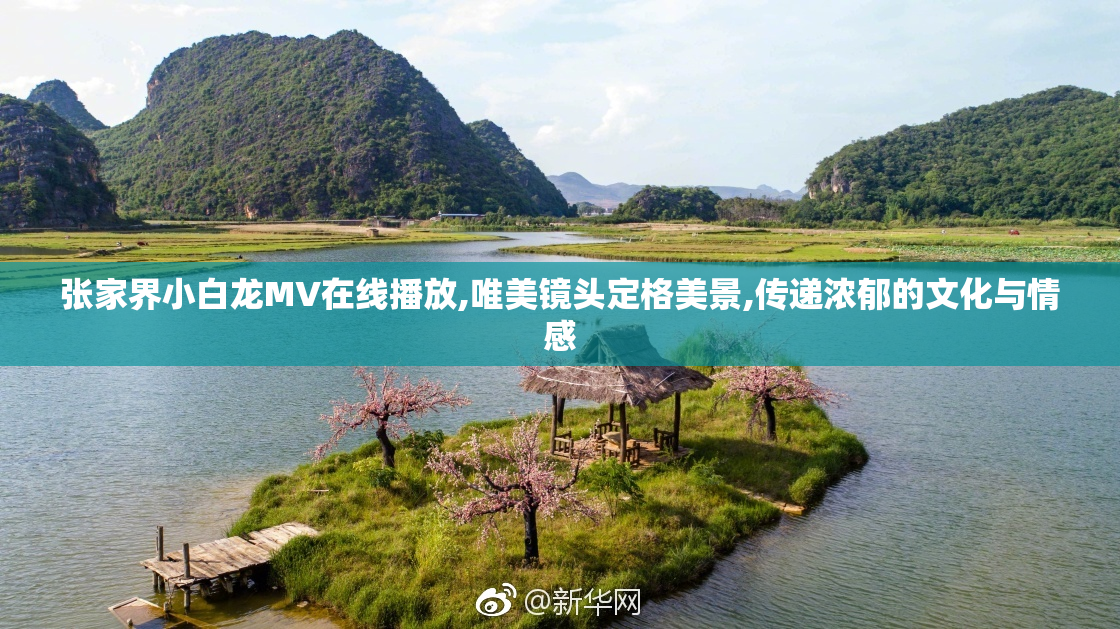 张家界小白龙MV在线播放,唯美镜头定格美景,传递浓郁的文化与情感