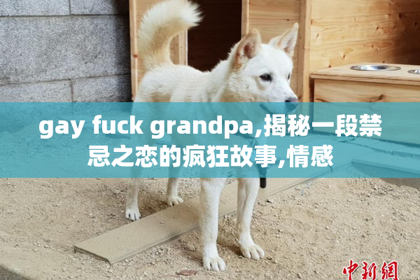 gay fuck grandpa,揭秘一段禁忌之恋的疯狂故事,情感