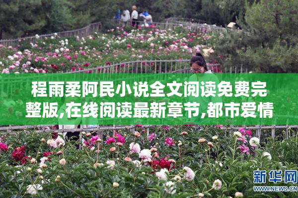 程雨柔阿民小说全文阅读免费完整版,在线阅读最新章节,都市爱情