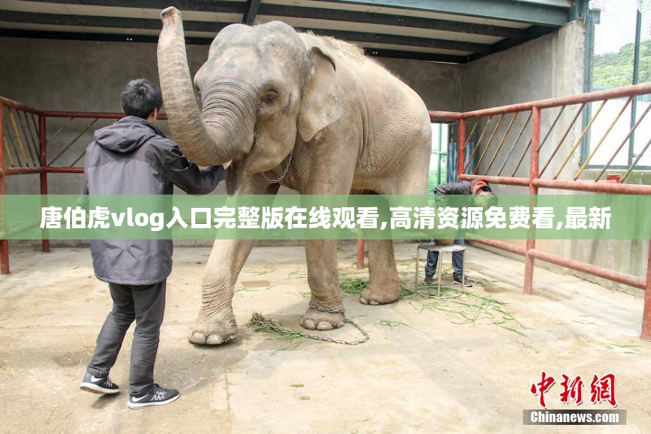 唐伯虎vlog入口完整版在线观看,高清资源免费看,最新