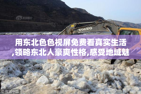 用东北色色视屏免费看真实生活,领略东北人豪爽性格,感受地域魅力