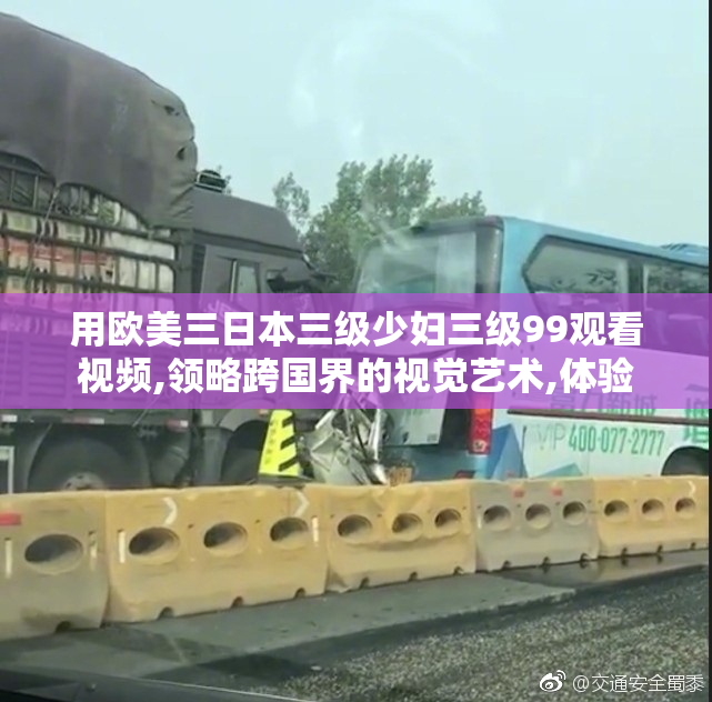 用欧美三日本三级少妇三级99观看视频,领略跨国界的视觉艺术,体验