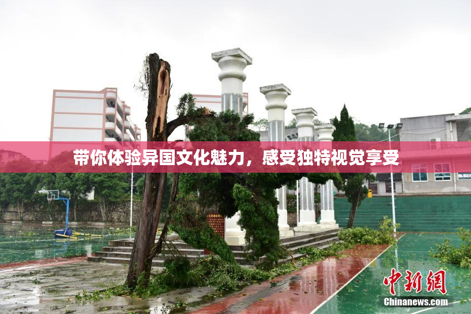带你体验异国文化魅力，感受独特视觉享受