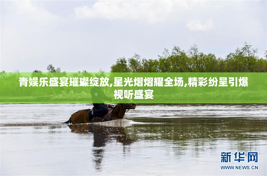 青娱乐盛宴璀璨绽放,星光熠熠耀全场,精彩纷呈引爆视听盛宴