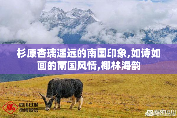 杉原杏璃遥远的南国印象,如诗如画的南国风情,椰林海韵