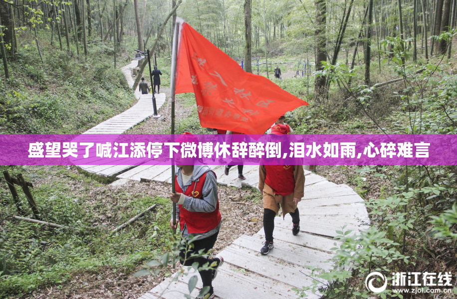 盛望哭了喊江添停下微博休辞醉倒,泪水如雨,心碎难言