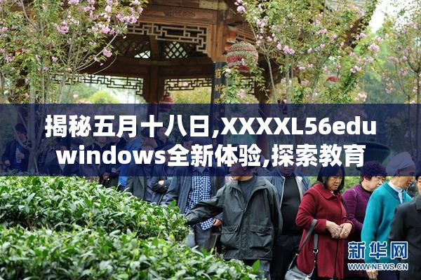 揭秘五月十八日,XXXXL56eduwindows全新体验,探索教育