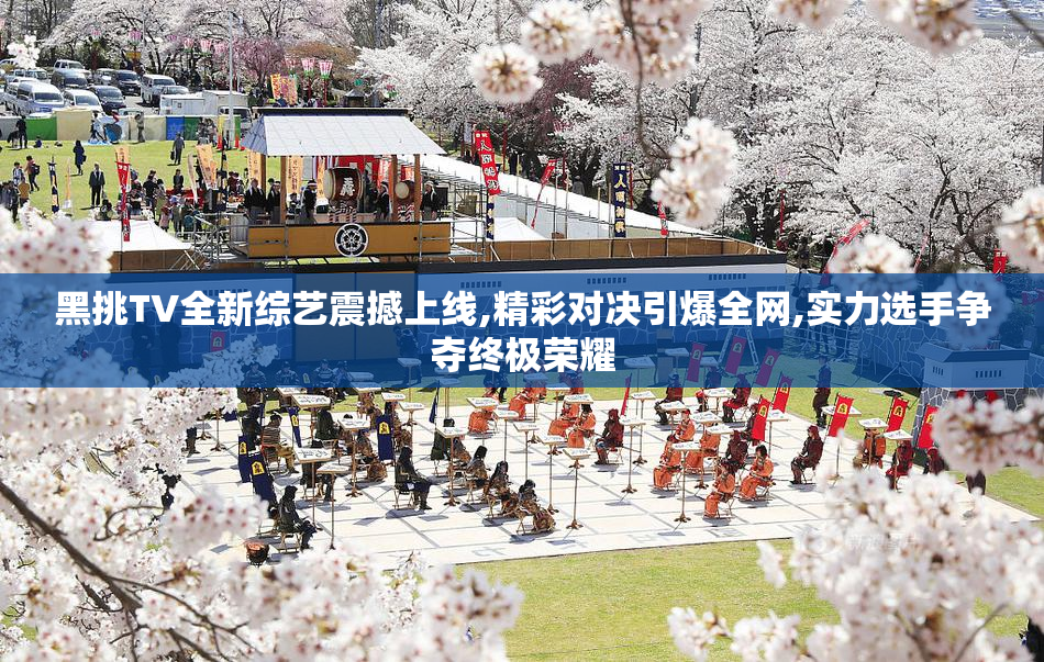 黑挑TV全新综艺震撼上线,精彩对决引爆全网,实力选手争夺终极荣耀