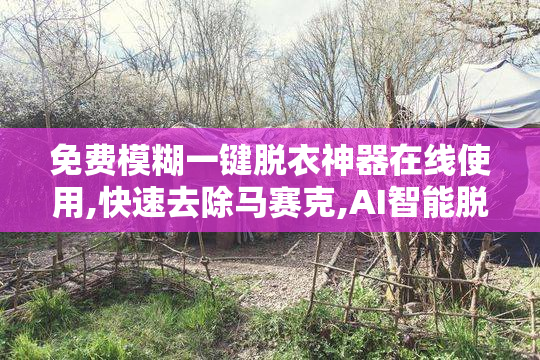 免费模糊一键脱衣神器在线使用,快速去除马赛克,AI智能脱衣工具