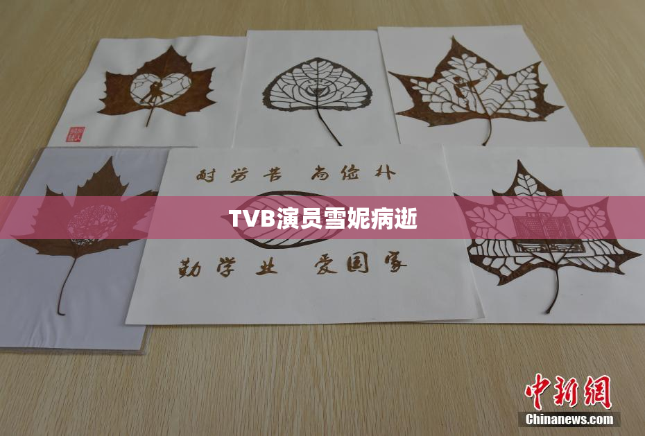 TVB演员雪妮病逝