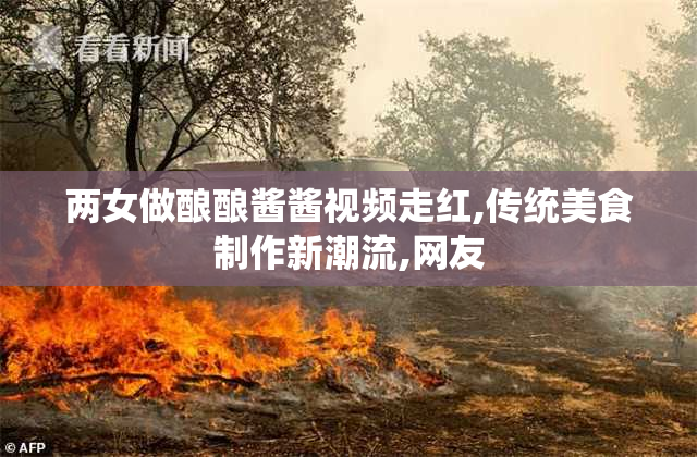 两女做酿酿酱酱视频走红,传统美食制作新潮流,网友