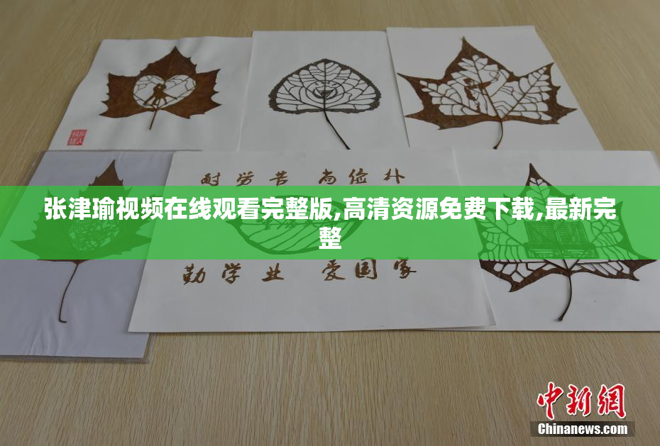 张津瑜视频在线观看完整版,高清资源免费下载,最新完整