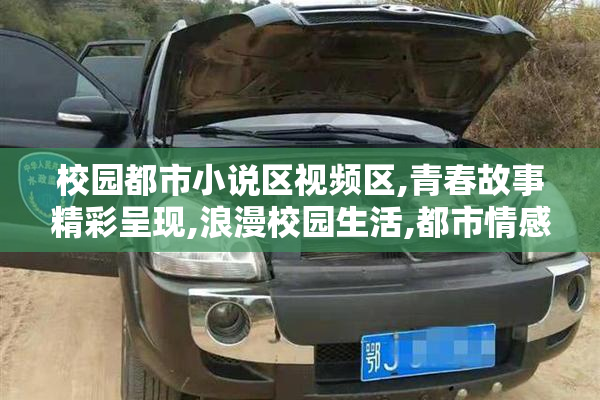 校园都市小说区视频区,青春故事精彩呈现,浪漫校园生活,都市情感交织