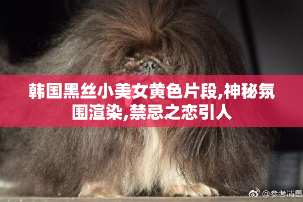 韩国黑丝小美女黄色片段,神秘氛围渲染,禁忌之恋引人