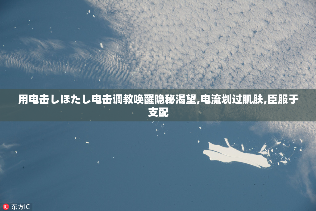 用电击しほたし电击调教唤醒隐秘渴望,电流划过肌肤,臣服于支配