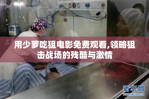 用少萝吃狙电影免费观看,领略狙击战场的残酷与激情