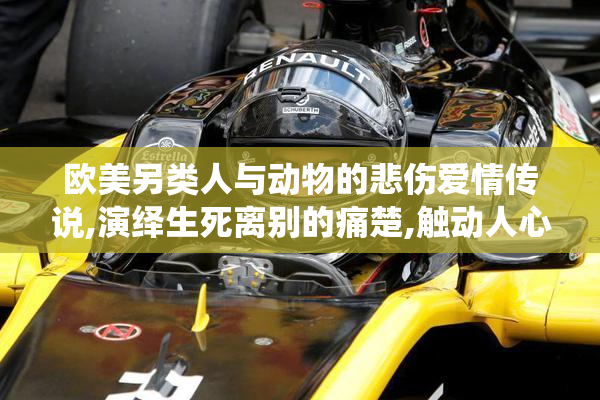 欧美另类人与动物的悲伤爱情传说,演绎生死离别的痛楚,触动人心的