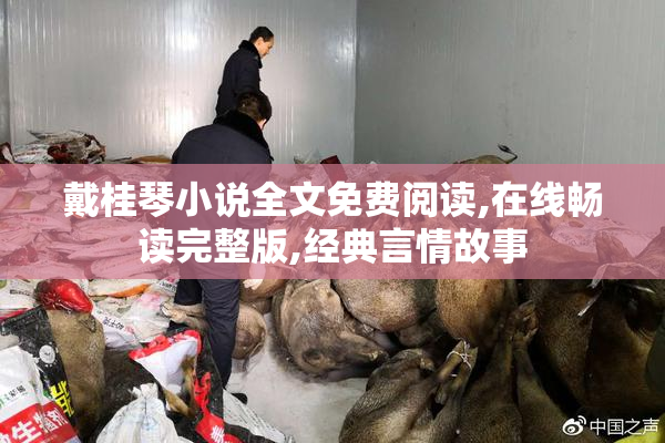 戴桂琴小说全文免费阅读,在线畅读完整版,经典言情故事
