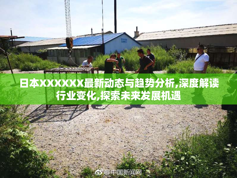 日本XXXXXX最新动态与趋势分析,深度解读行业变化,探索未来发展机遇