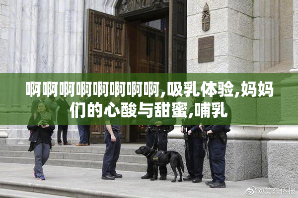 啊啊啊啊啊啊啊啊,吸乳体验,妈妈们的心酸与甜蜜,哺乳