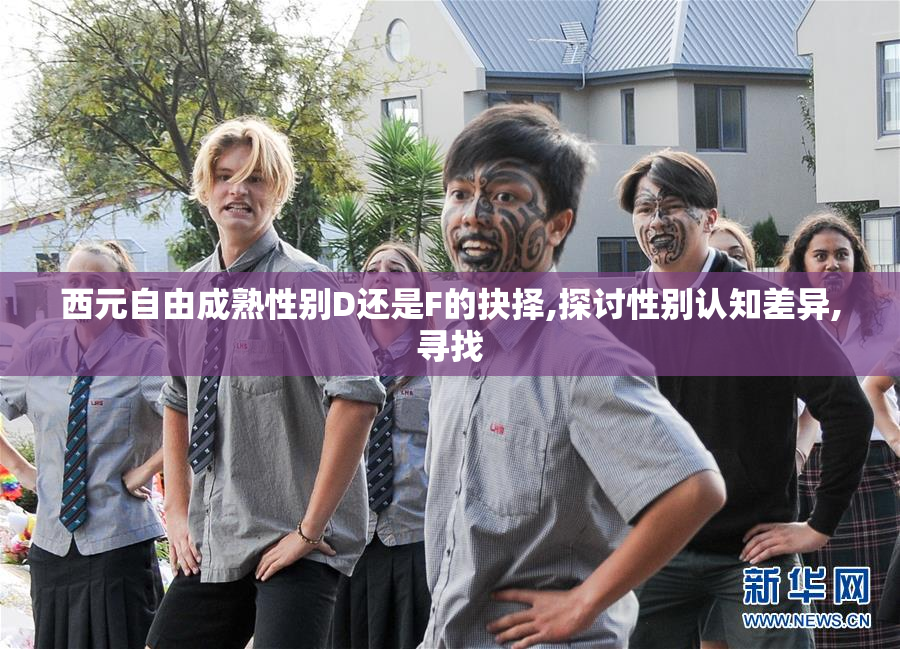 西元自由成熟性别D还是F的抉择,探讨性别认知差异,寻找
