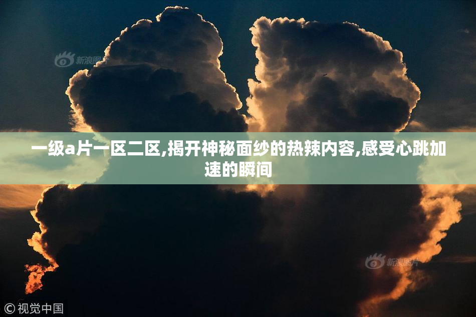 一级a片一区二区,揭开神秘面纱的热辣内容,感受心跳加速的瞬间