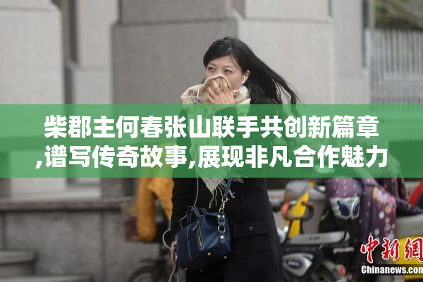 柴郡主何春张山联手共创新篇章,谱写传奇故事,展现非凡合作魅力