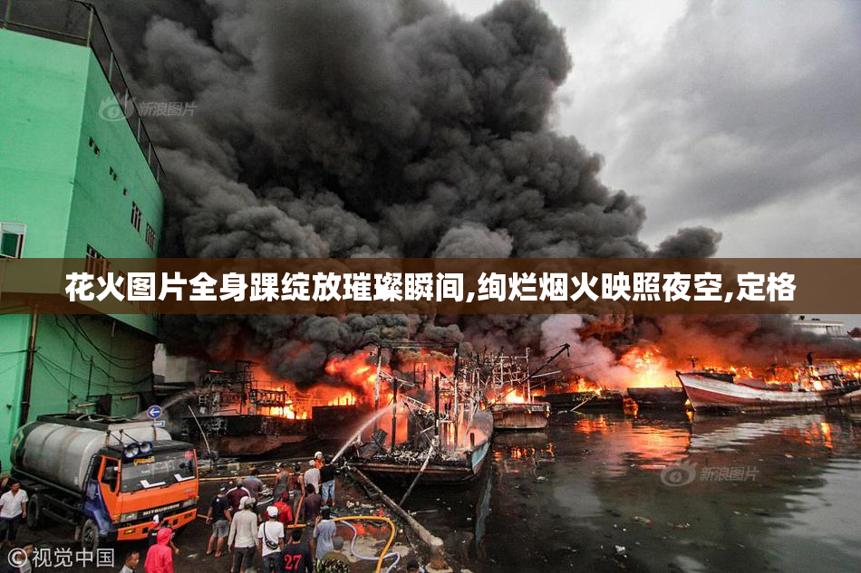 花火图片全身踝绽放璀璨瞬间,绚烂烟火映照夜空,定格