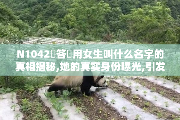 N1042問答無用女生叫什么名字的真相揭秘,她的真实身份曝光,引发