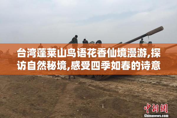 台湾蓬莱山鸟语花香仙境漫游,探访自然秘境,感受四季如春的诗意风光