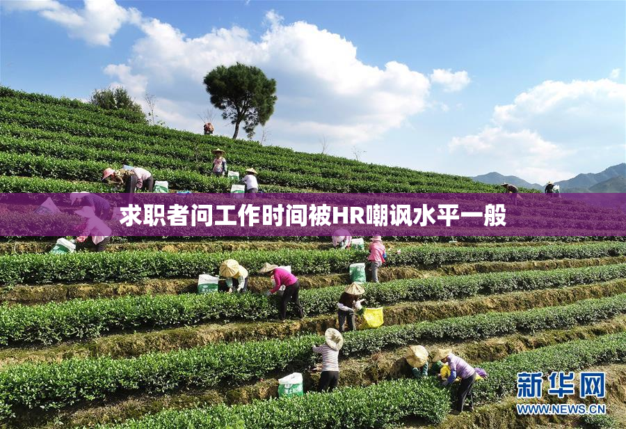 求职者问工作时间被HR嘲讽水平一般