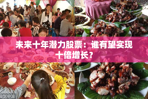 未来十年潜力股票：谁有望实现十倍增长？