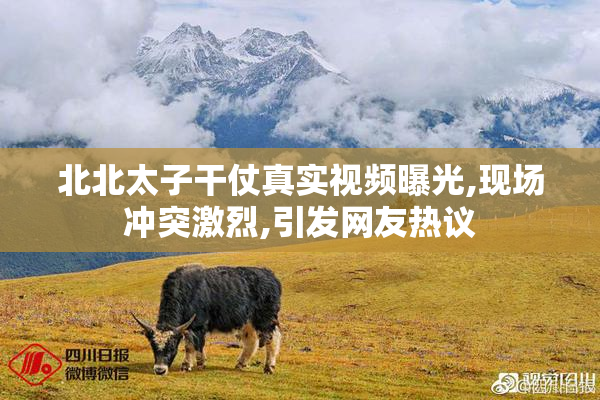 北北太子干仗真实视频曝光,现场冲突激烈,引发网友热议