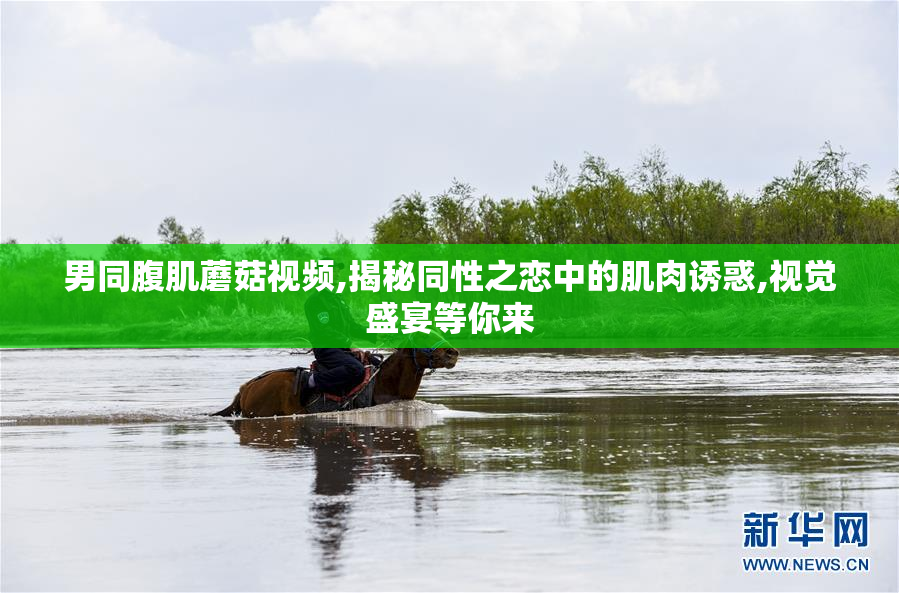 男同腹肌蘑菇视频,揭秘同性之恋中的肌肉诱惑,视觉盛宴等你来
