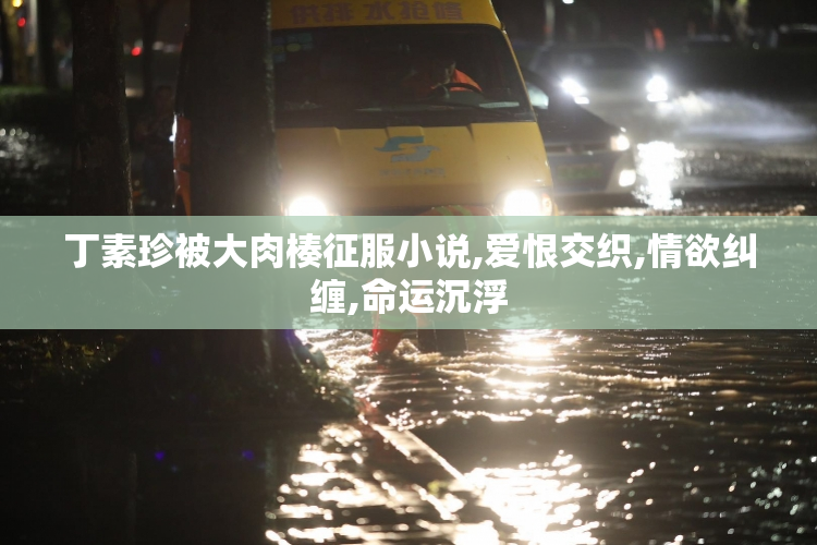 丁素珍被大肉楱征服小说,爱恨交织,情欲纠缠,命运沉浮