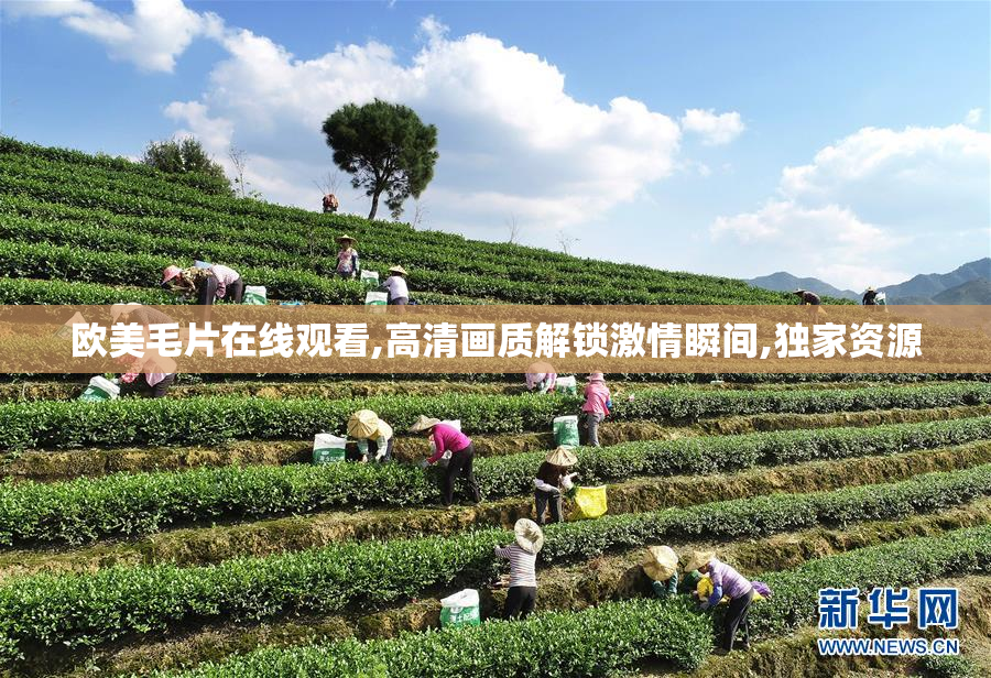 欧美毛片在线观看,高清画质解锁激情瞬间,独家资源