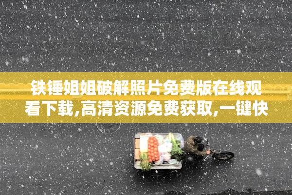 铁锤姐姐破解照片免费版在线观看下载,高清资源免费获取,一键快速
